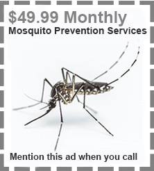mosquito_coupon